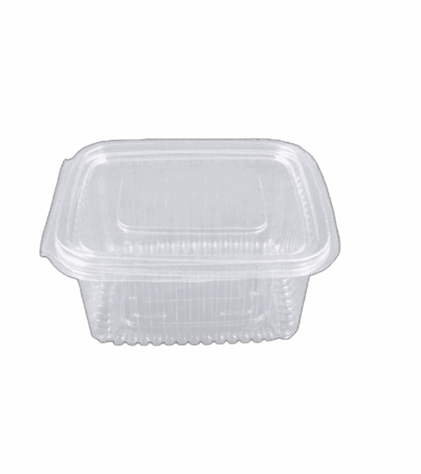 CONTAINER ECO NEW PET 500ml Υ04 100Τ/10Π
