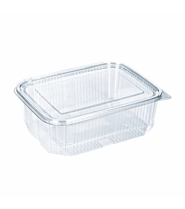 CONTAINER ECO NEW PET 2000ml Υ10 100Τ/4Π