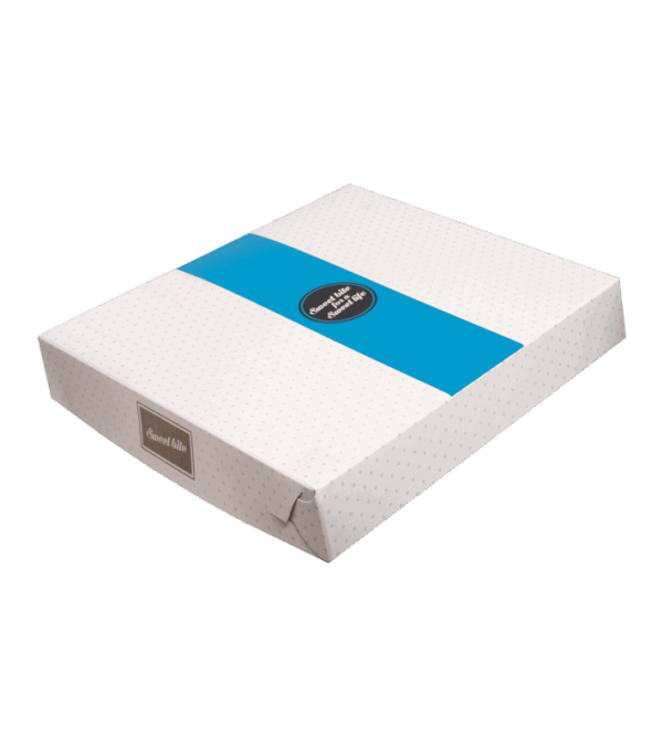 ΚΟΥΤΙ ΖΑΧΑΡΟΠΛΑΣΤΕΙΟΥ Z40 (22x22x4cm) 10KG