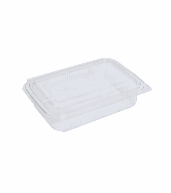 LUNCH BOX 1000ml ΔΙΑΦ. PET Υ23 100Τ/3Π