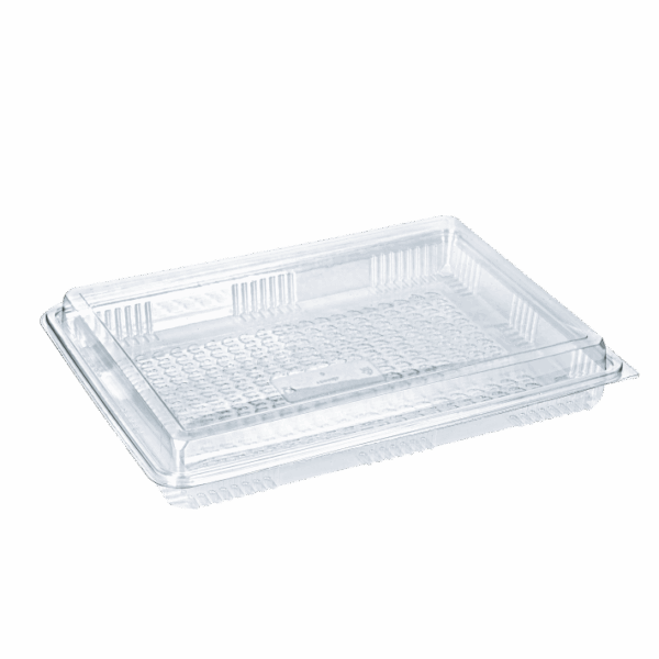 CONTAINER ΧΑΜΗΛΟ ΜΕ ΨΗΛΟ ΚΑΠ PET 1000ml Υ41 100Τ/2Π
